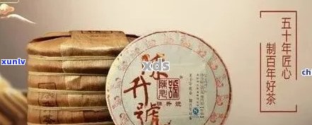 陈升号普洱茶：珍藏瑰宝还是投资误区？