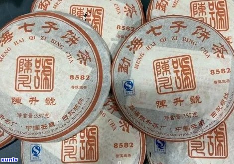 陈升号8582普洱茶：品种、产地、 *** 工艺、口感及品鉴 *** 全面解析