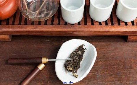 月经期间可以喝普洱茶吗？答案在这里！