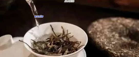 普洱茶怎么泡才能散发出香韵？