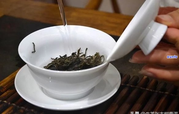 普洱茶泡制全攻略：如何冲泡出好喝的普洱茶