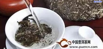 普洱茶怎么泡出香韵