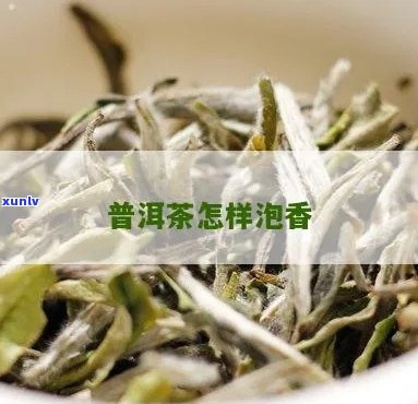 普洱茶怎么泡出香韵