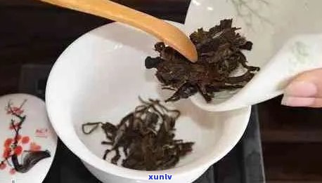 普洱茶泡制全攻略：如何冲泡出好喝的普洱茶