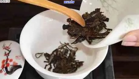 普洱茶怎么泡出香韵