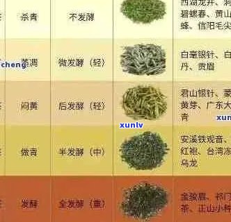 普洱茶叶排行榜、品质及价格一览：了解各类茶叶的选择