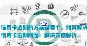 债务逾期后的全面解决方案：债务重组与恢复信用策略