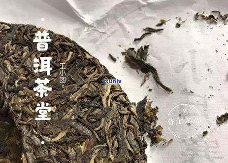 发霉的普洱茶什么味道？如何判断与处理？妙用与品鉴全解析！