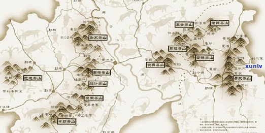 永年普洱茶：品质、口感与收藏价值分析