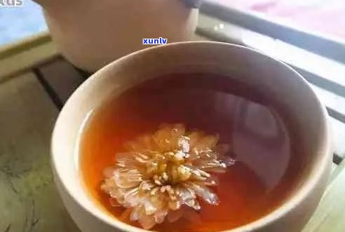 新 '普洱茶搭配菊花茶，口感与健双赢'