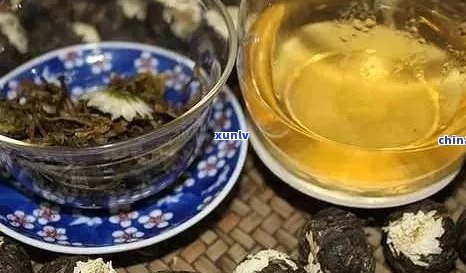 普洱茶与菊花搭配饮用的好处及注意事项