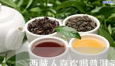  *** 人喝普洱茶好吗