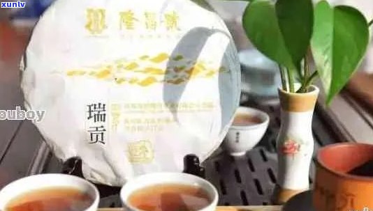 云南瑞升号茶业：传承古道风韵，扬普洱茶文化的新篇章