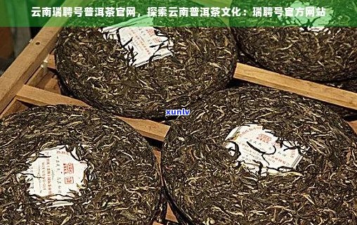 云南瑞升号茶业：传承古道风韵，扬普洱茶文化的新篇章