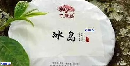 瑞升号冰岛普洱茶：品鉴与选购指南，了解产地、口感和泡法等全方位信息