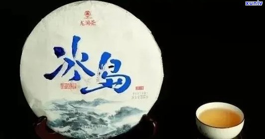 瑞升号冰岛普洱茶：品鉴与选购指南，了解产地、口感和泡法等全方位信息