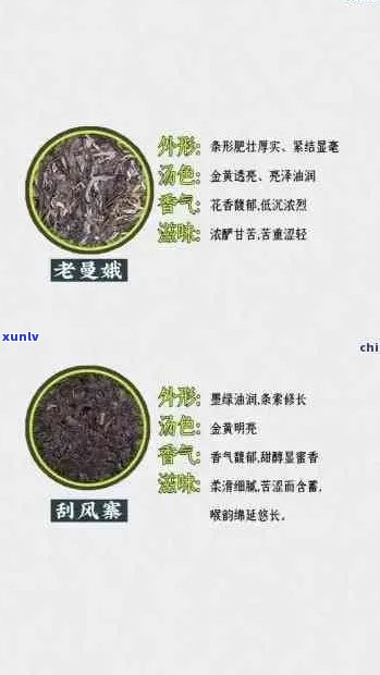 瑞升号冰岛普洱茶：品鉴与选购指南，了解产地、口感和泡法等全方位信息