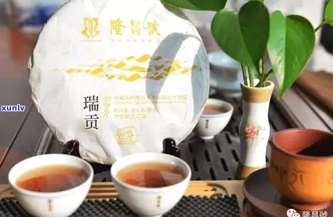 瑞升号普洱茶怎么样