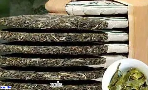 普洱茶叶生茶的全方位保存技巧：如何确保茶叶品质和口感不受影响？