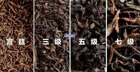 普洱茶生茶的全面解析：种类、 *** 工艺、口感和健益处等一应俱全