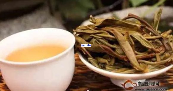 普洱茶叶生茶怎么样