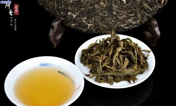 普洱茶叶生茶怎么样