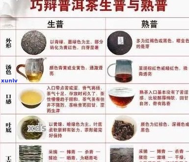 普洱茶：哪种口感和品质更佳？如何选择适合自己的普洱茶及种类