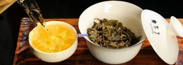 普洱茶品尝：哪款茶叶更值得一试？