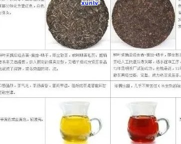 普洱茶口感评测：对比分析，哪些种类的普洱茶喝？