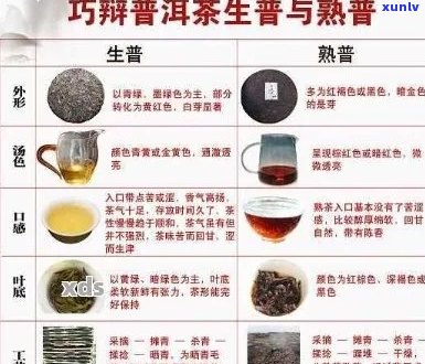 普洱茶口感评测：对比分析，哪些种类的普洱茶喝？