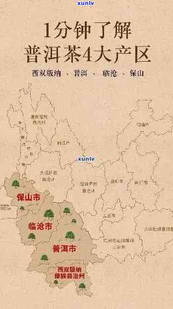 全面解析：普洱茶产地对比，哪个地方的普洱茶质量更优秀？