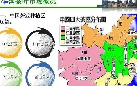 州普洱茶场地址大全及品质茶叶推荐