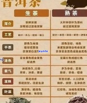 全面品鉴：精选几款高品质普洱茶，带你了解普洱茶的种类、品质与冲泡技巧