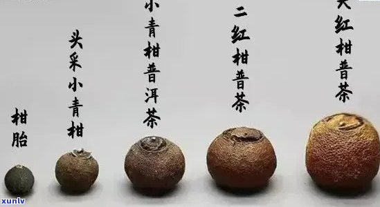 普洱茶小青柑：品种、特点、功效与泡法全面解析，让你一次了解所有信息