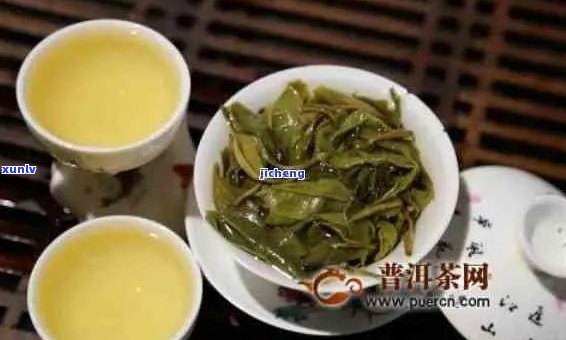 标普洱茶：品质、产地、冲泡 *** 与品鉴技巧全方位解析