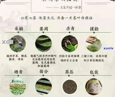 标普洱茶：品质、产地、冲泡 *** 与品鉴技巧全方位解析