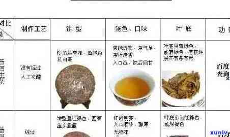 普洱茶品质特征全面解析：从外观、香气、口感到陈化过程中的变化