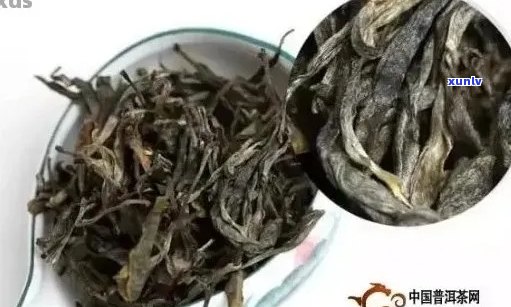 全面比较：各大厂家普洱茶品质之优劣，助您轻松挑选普洱茶