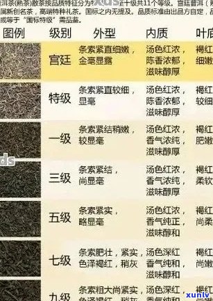 全面比较：各大厂家普洱茶品质之优劣，助您轻松挑选普洱茶