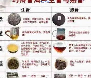 全面比较：各大厂家普洱茶品质之优劣，助您轻松挑选普洱茶