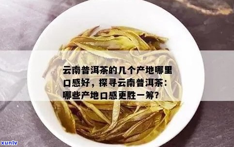 普洱茶哪个厂产的好喝：云南普洱茶厂生产的普洱茶口感更佳