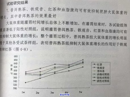 普洱茶为什么越喝越胖：探讨普洱茶的代谢效应与体重变化