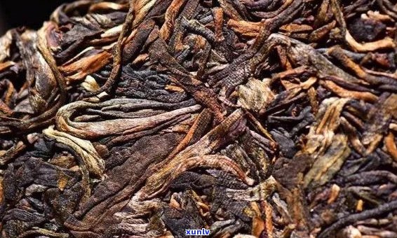 2003年大白菜普洱茶价格走势分析及市场参考 - 全面了解当年茶叶价格信息