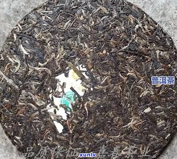 2003年大白菜普洱茶价格走势分析及市场参考 - 全面了解当年茶叶价格信息