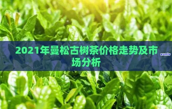 2021年曼松古树茶价格：品质、口感与收藏价值分析