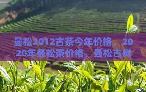 曼松古树茶价格大全：2020年曼松茶一公斤多少钱？