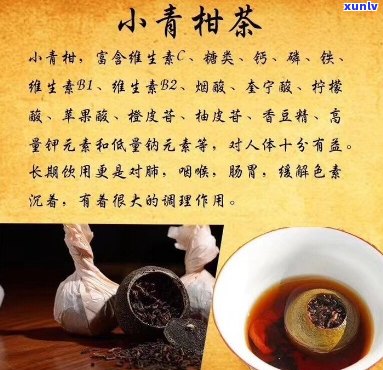 小青柑普洱茶是什么