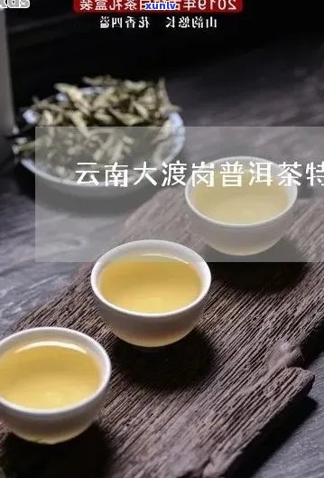 大度岗普洱茶全面评价：品质、口感、冲泡 *** 与适合的饮用场景一应俱全