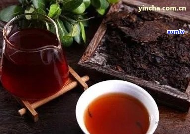 普洱茶回是什么原因：探究普洱茶的神奇回感及其成因