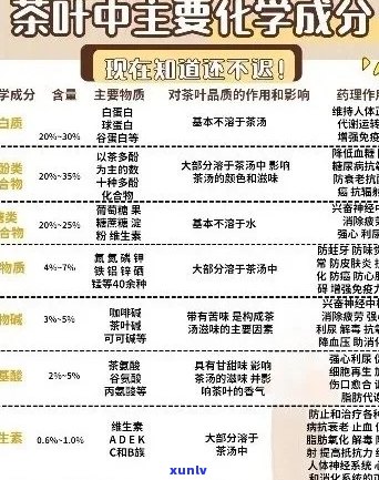 探究普洱茶回现象：化学成分、品饮体验及健益处